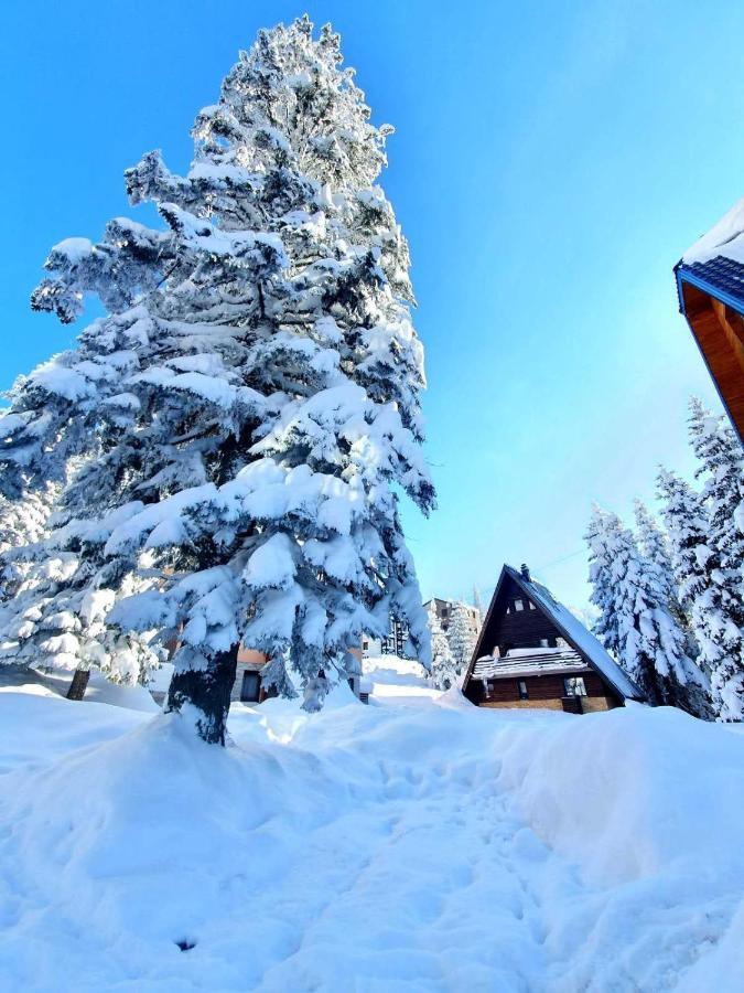 Appartamento Jahorina 7Lux Esterno foto