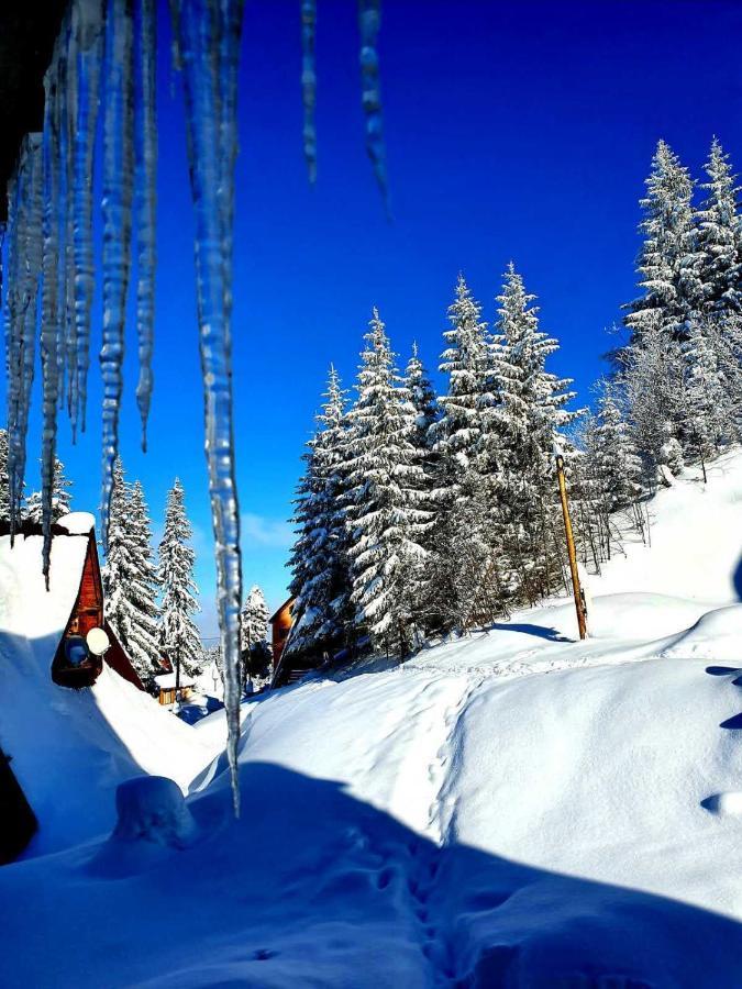 Appartamento Jahorina 7Lux Esterno foto